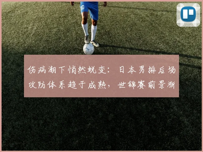 伤病潮下悄然蜕变：日本男排后场攻防体系趋于成熟，世锦赛前景渐露曙光