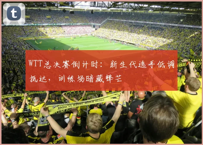 WTT总决赛倒计时：新生代选手低调抵达，训练场暗藏锋芒