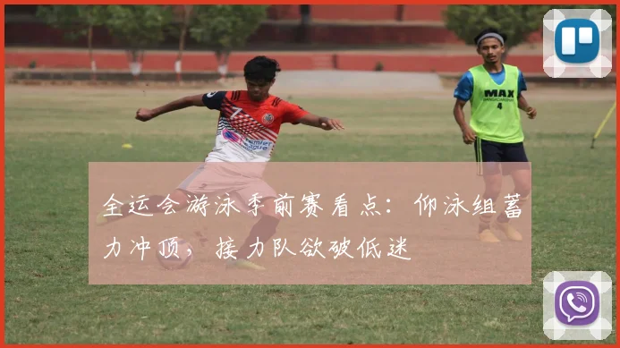 全运会游泳季前赛看点：仰泳组蓄力冲顶，接力队欲破低迷