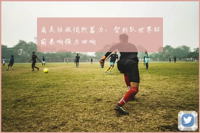 南美劲旅悄然蓄力，智利队世界杯前奏响强力回响