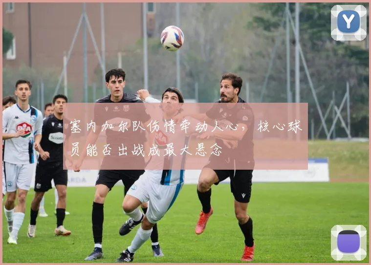 塞内加尔队伤情牵动人心，核心球员能否出战成最大悬念