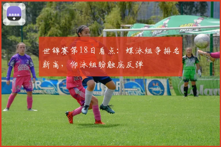世锦赛第18日看点：蝶泳组争排名新高，仰泳组盼触底反弹