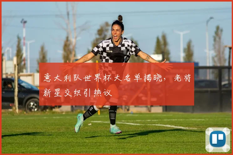 意大利队世界杯大名单揭晓，老将新星交织引热议